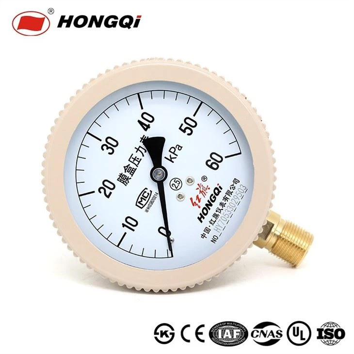 100mm Capsule Pressure Gauge Membrane Pressure Meter