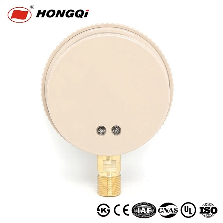 100mm Capsule Pressure Gauge Membrane Pressure Meter