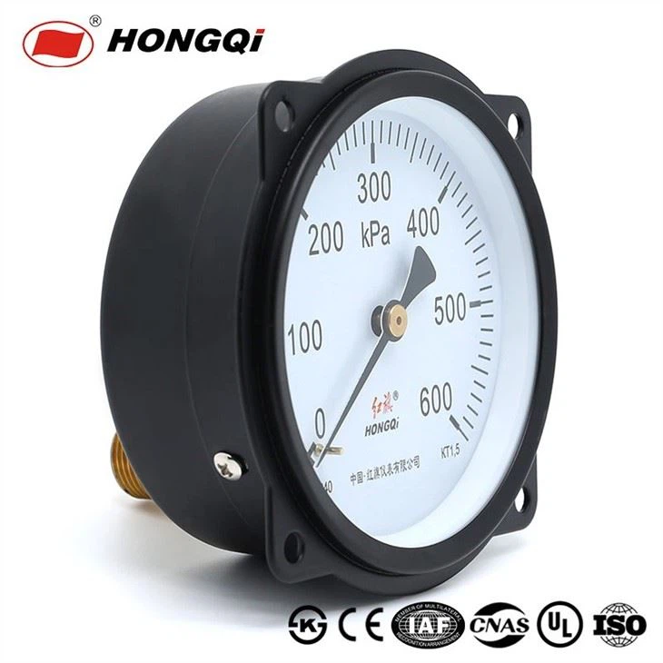 Bottom Entry SS/Grey/Black Painted Pressure Gauge Case